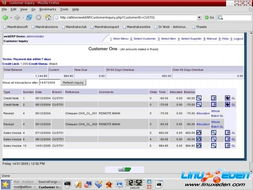 從Weberp到Linux伊甸園 探索ERP系統(tǒng)的開發(fā)與演進